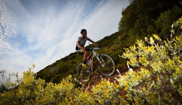 Matthys Beukes