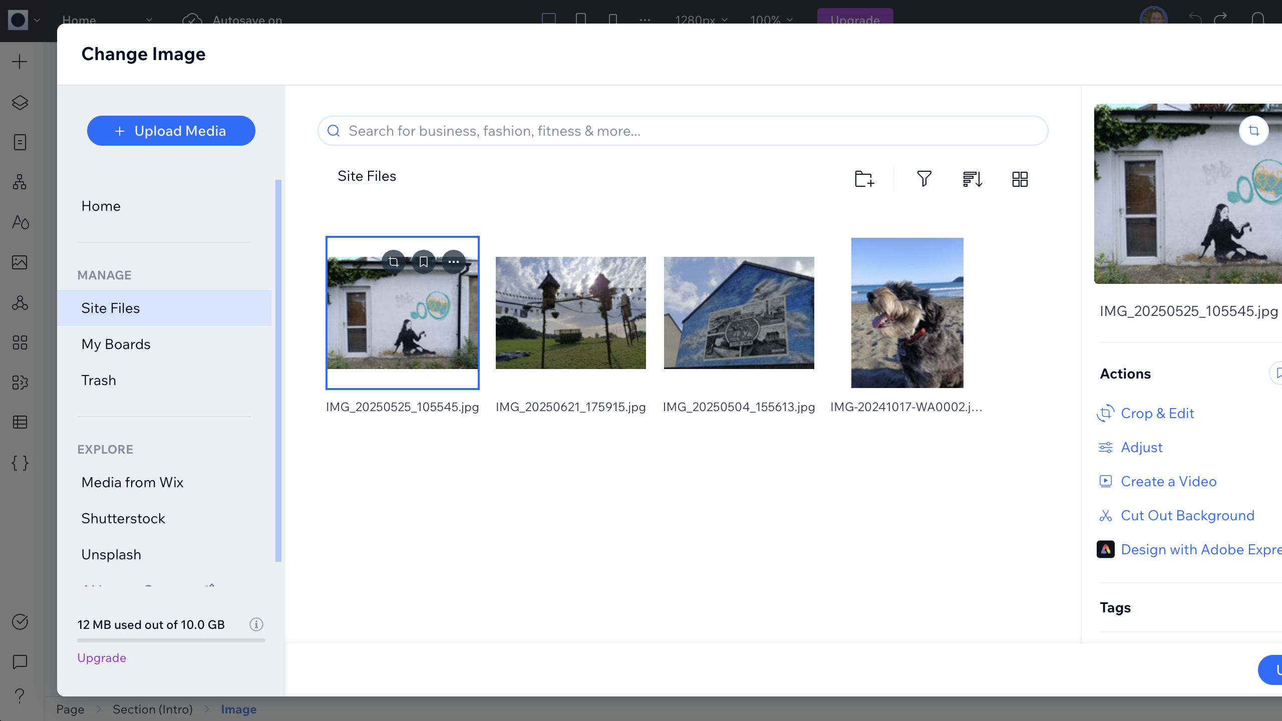 Editing a template in Wix Studio