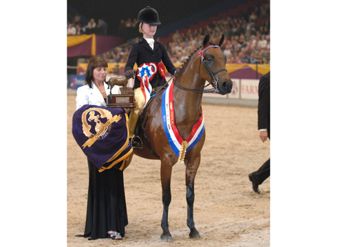 2005: Broadgrove Chatterbox