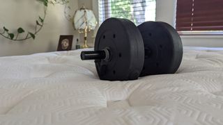 Testing the pressure relief for the Bear Elite Hybrid mattress using a 15lb dumbbell