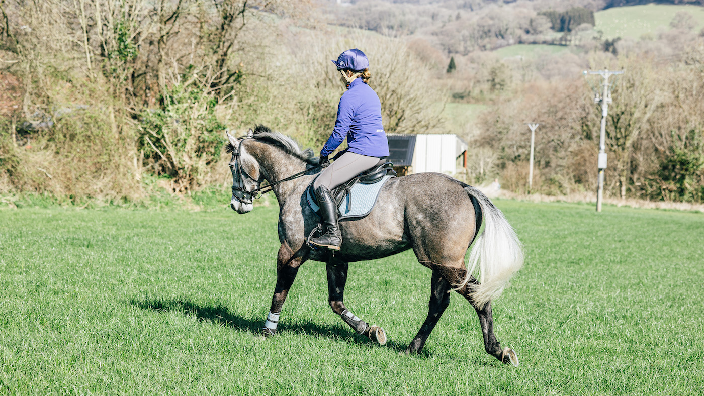 Rider trotting grey horse in a field