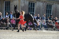 Brookleigh_Badminton16pn_1528.jpg