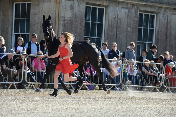 Emily King Brookleigh Badminton 2016