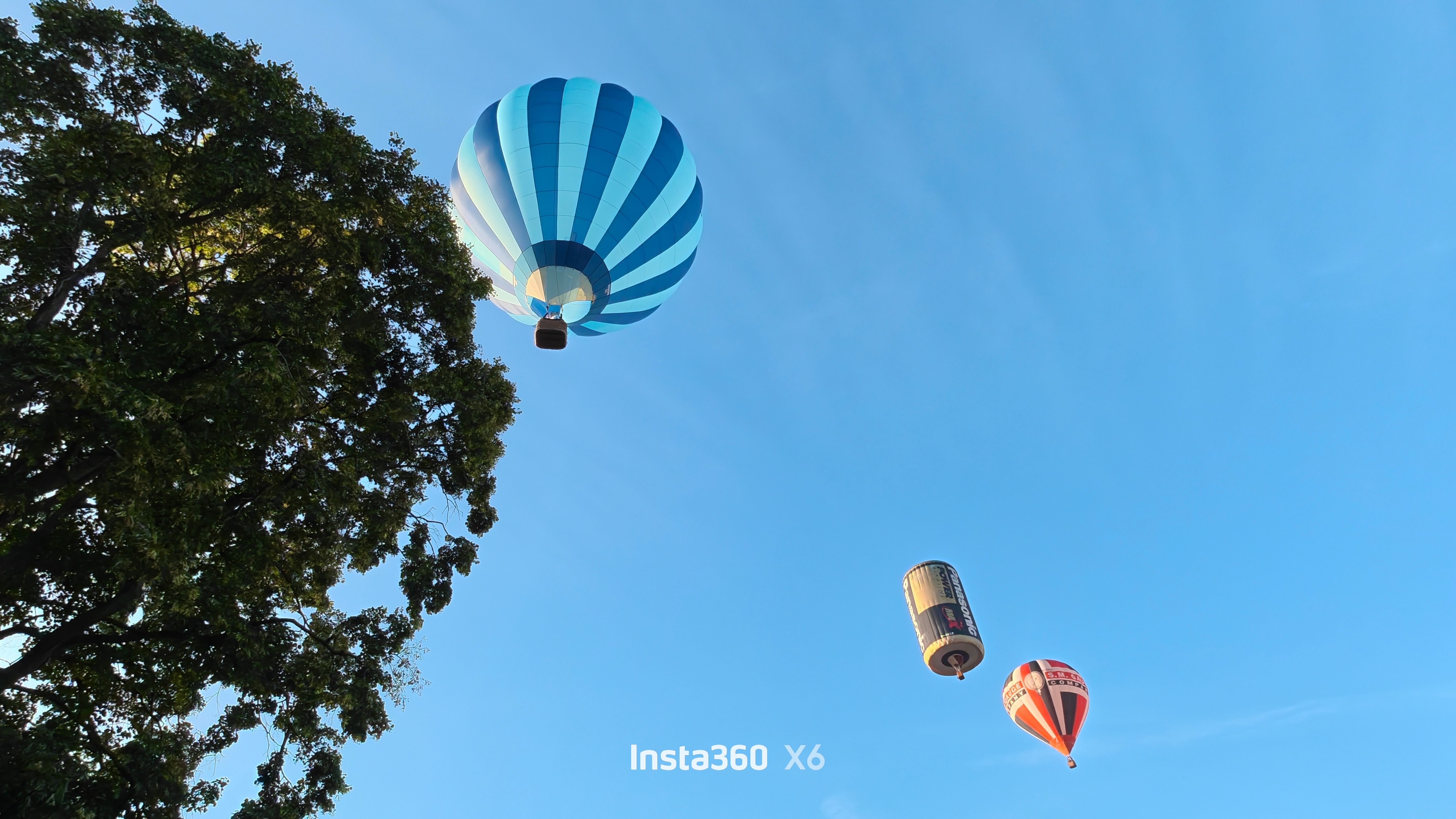 A photo of a large three and three hot air balloons against a bright blue sky