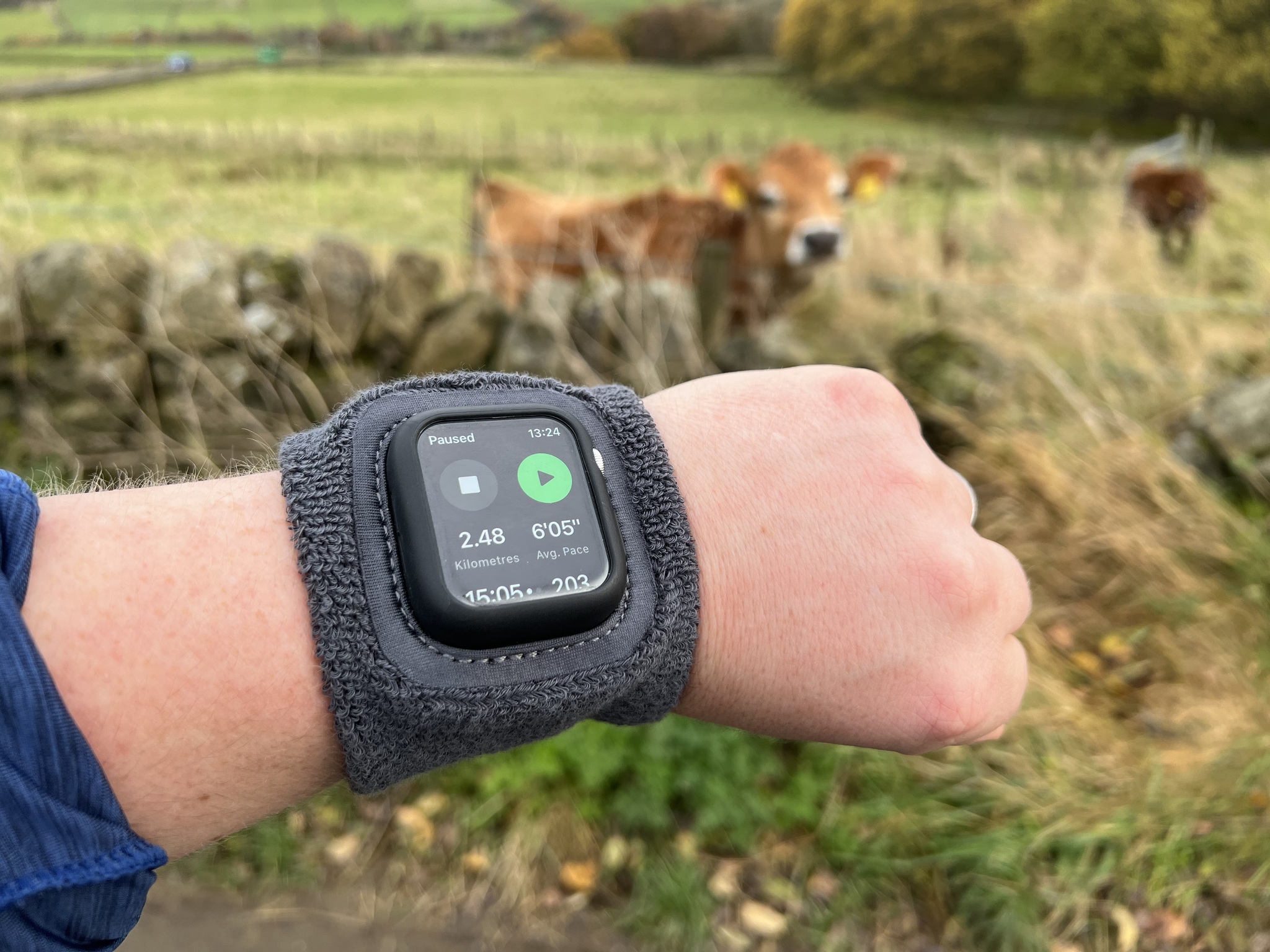 Twelve South ActionBand review: An Apple Watch band tailor-made