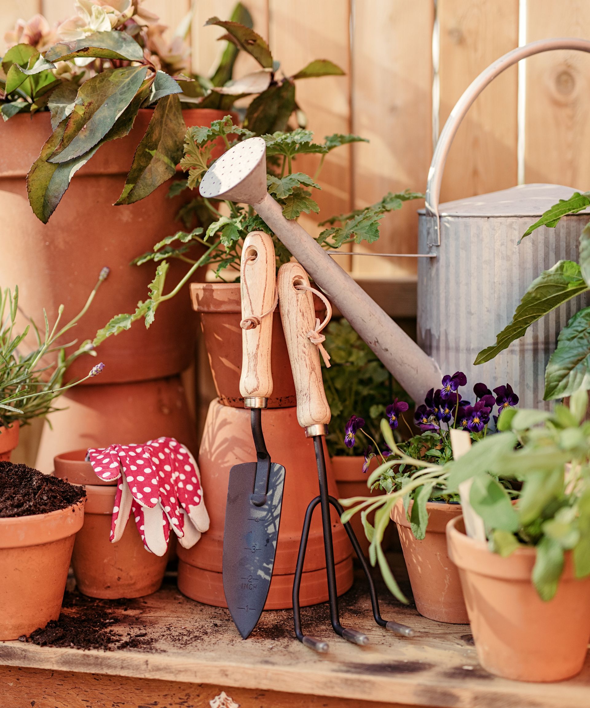 still life of a potting bench with garden tools, watering can and terracotta plant pots