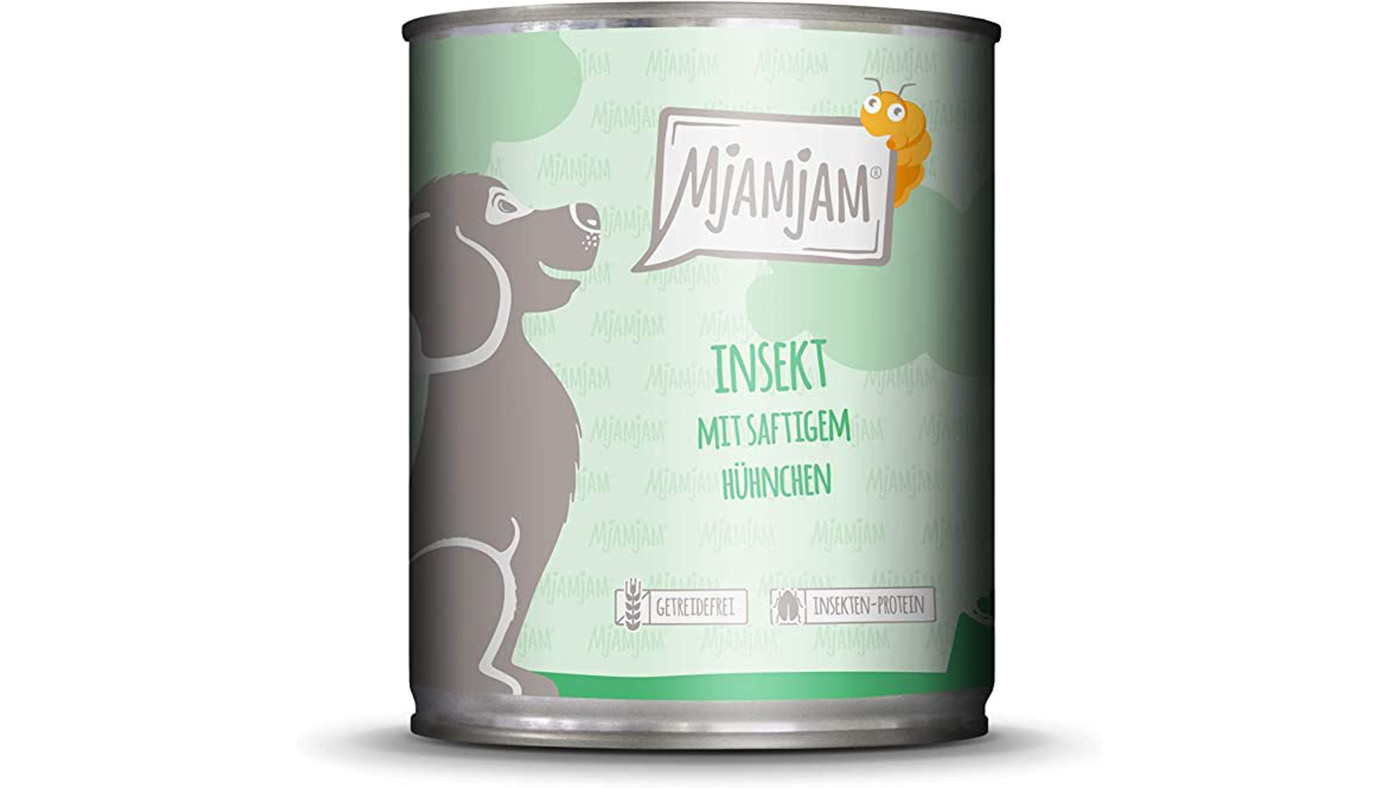 MjAMjAM Insect