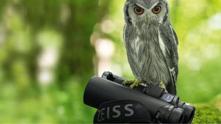 Zeiss binoculars deals: Discounts on top-rated models