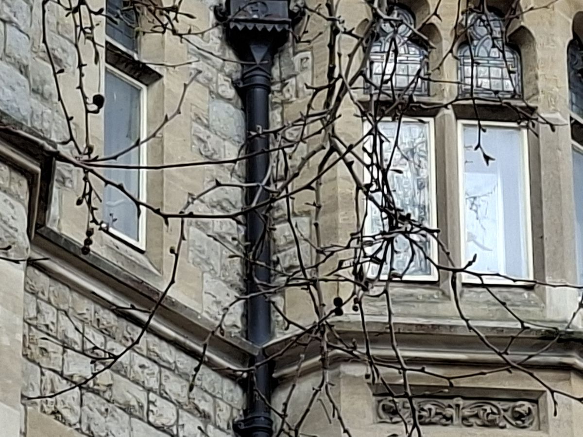 A photo captured on the Samsung Galaxy A56 5G