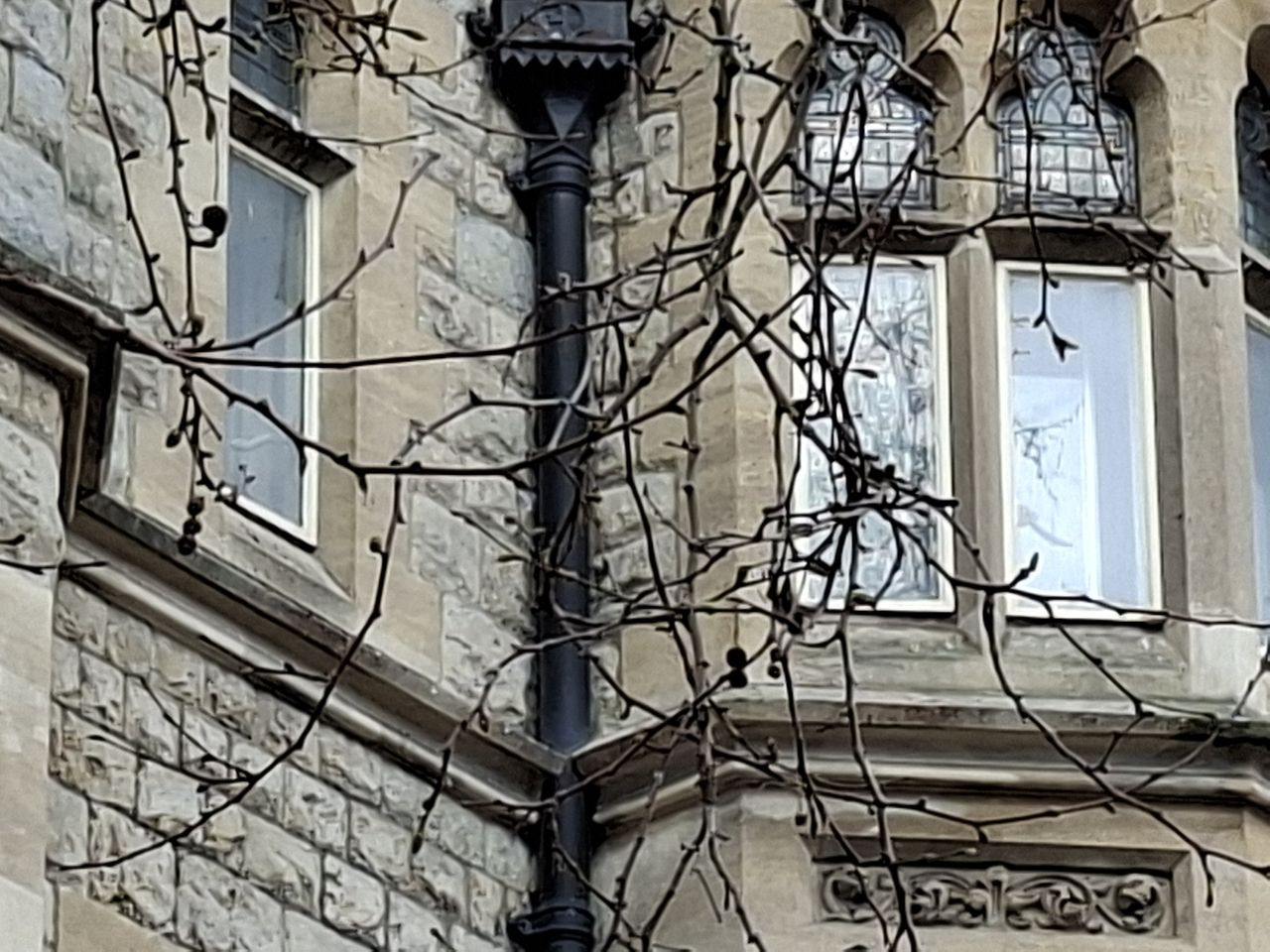A photo captured on the Samsung Galaxy A56 5G