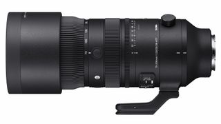 Sigma 70-200mm f/2.8 DG DN OS | Sports