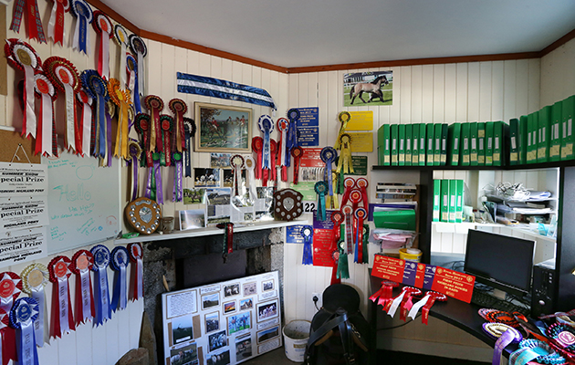 Rosettes galore