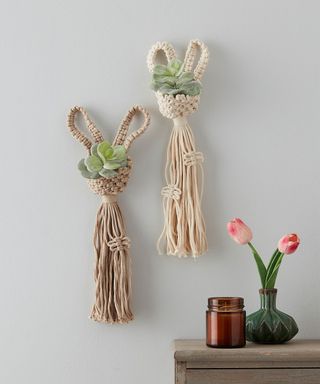 Cute DIY macrame bunny plant pods with succulents hanging on wall.