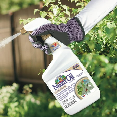Bonide Captain Jack's 32 Oz Neem Oil Organic Spray for Plants Indoors &amp;amp; Outdoors