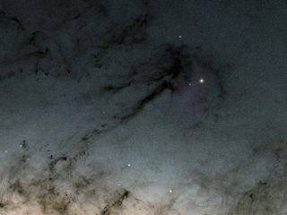 Gaia Maps the Rho Ophiuchi Cloud Complex