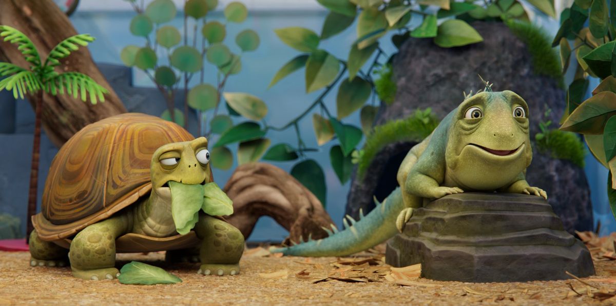 Bill Burr voices the turtle Squirtle (on left) in Netflix&#039;s Leo