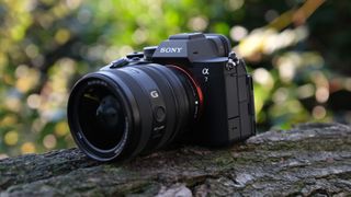 Sony A7 V camera with lens attached, on a tree branch