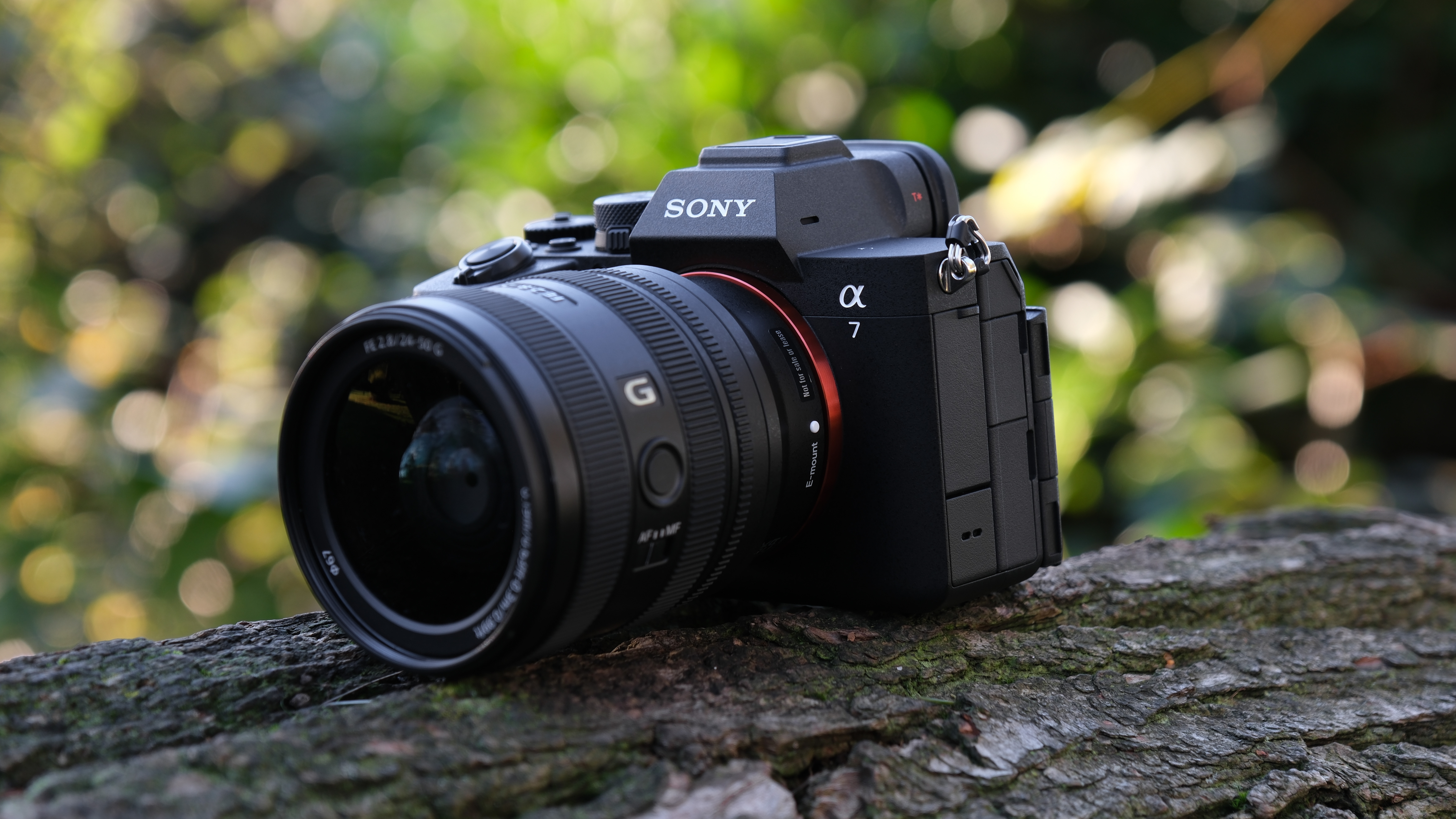 Sony A7 V camera with lens attached, on a tree branch