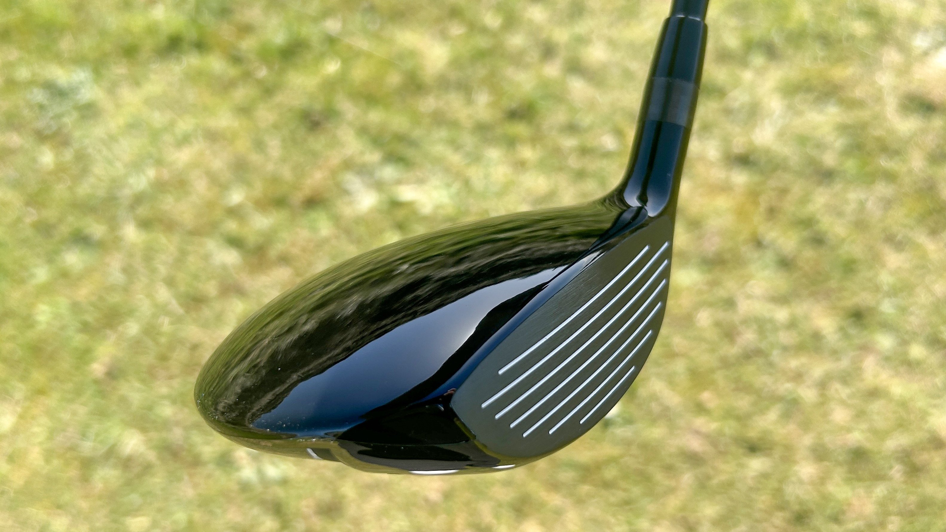 Photo of the Eleven Golf FW1