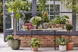 accessible garden design: potting table and planters