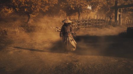 Rise of the Ronin tips