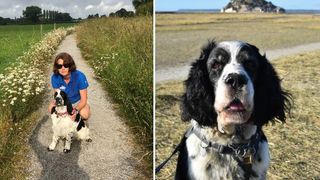 Springer Spaniel owner Sara argues why pet bereavement leave is needed