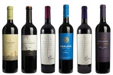 Calchaqu&iacute; Valley red wines