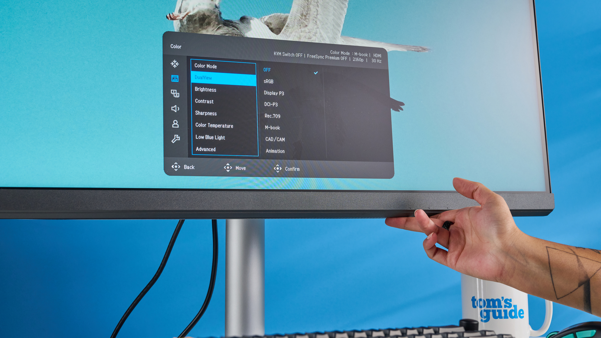 A photo of the BenQ PD3226G monitor in a blue-walled studio