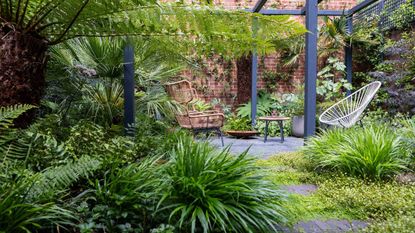 A calming brick-walled urban garden heavily covered in green foliage with repeat planting and a pergola by GRDN
