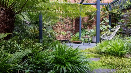 A calming brick-walled urban garden heavily covered in green foliage with repeat planting and a pergola by GRDN