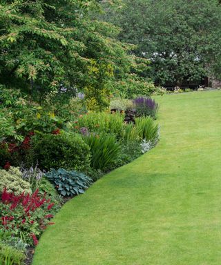 A lawn with a cirved, trimmed border with flowers and shrubs