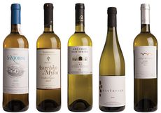 Greek Assyrtiko - Expert's choice