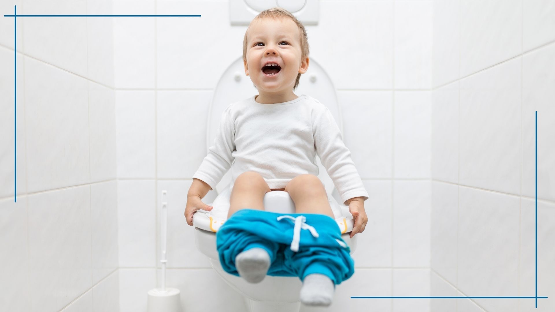 8 of the best toilet training seats for toddlers GoodtoKnow