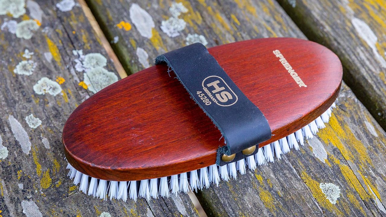 Sprenger body brush review