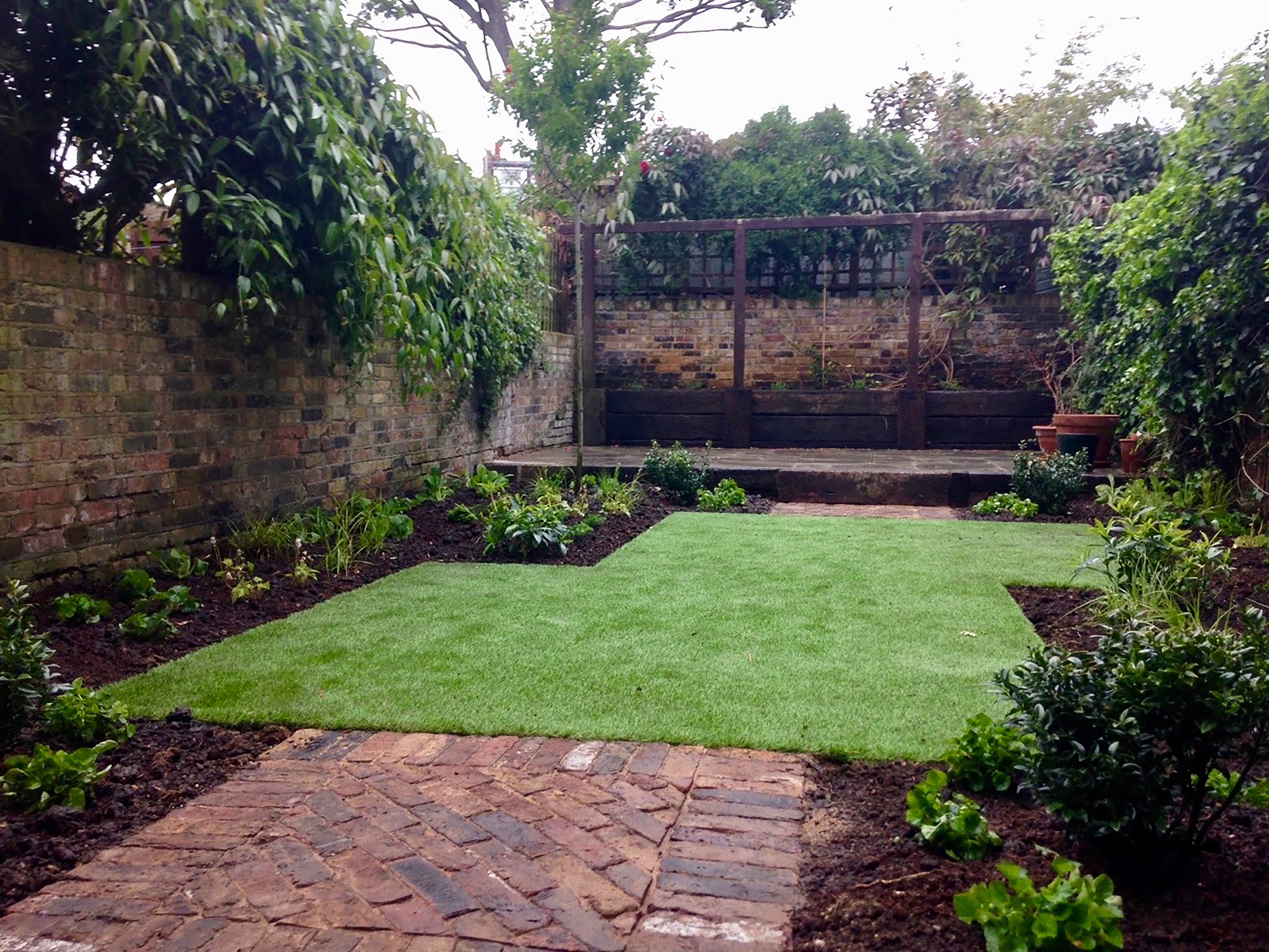 small garden layout designs: hannah rickards lawn