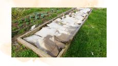 picture of cardboard spread across a raised flower or veg bed