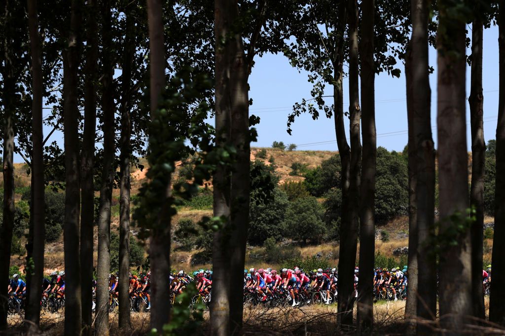 BURGOS SPAIN AUGUST 15 A general view of the peloton through a forest area during the 76th Tour of Spain 2021 Stage 2 a 1667km stage from Caleruega Monasterio de Santo Domingo de Guzmn to Burgos Gamonal lavuelta LaVuelta21 CapitalMundialdelCiclismo on August 15 2021 in Burgos Spain Photo by Gonzalo Arroyo MorenoGetty Images