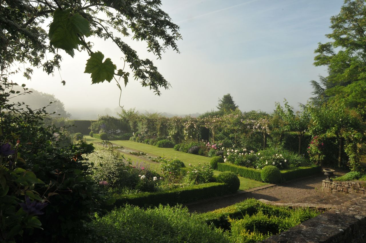 misty garden with hedges and topiary