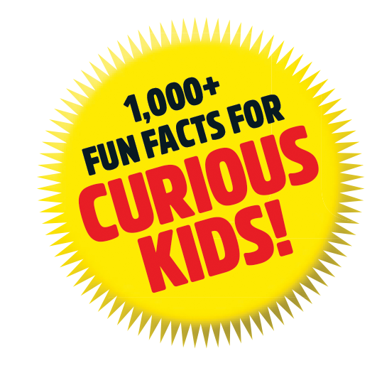 1,000+ fun facts
