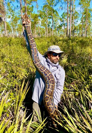 a man wearing sun glasses and a hat holding up a large Burmese python