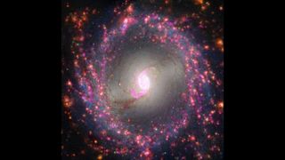 Webb will reveal never-before-seen stars in distant spiral galaxies currently blocked by gas and dust.