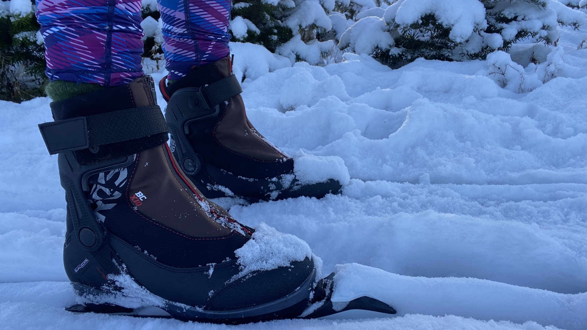 Nordic back country skiing