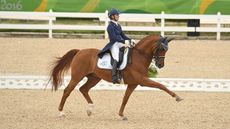 Julie Brougham dressage