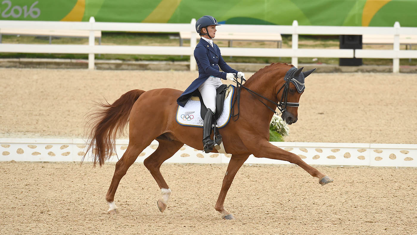 Julie Brougham dressage