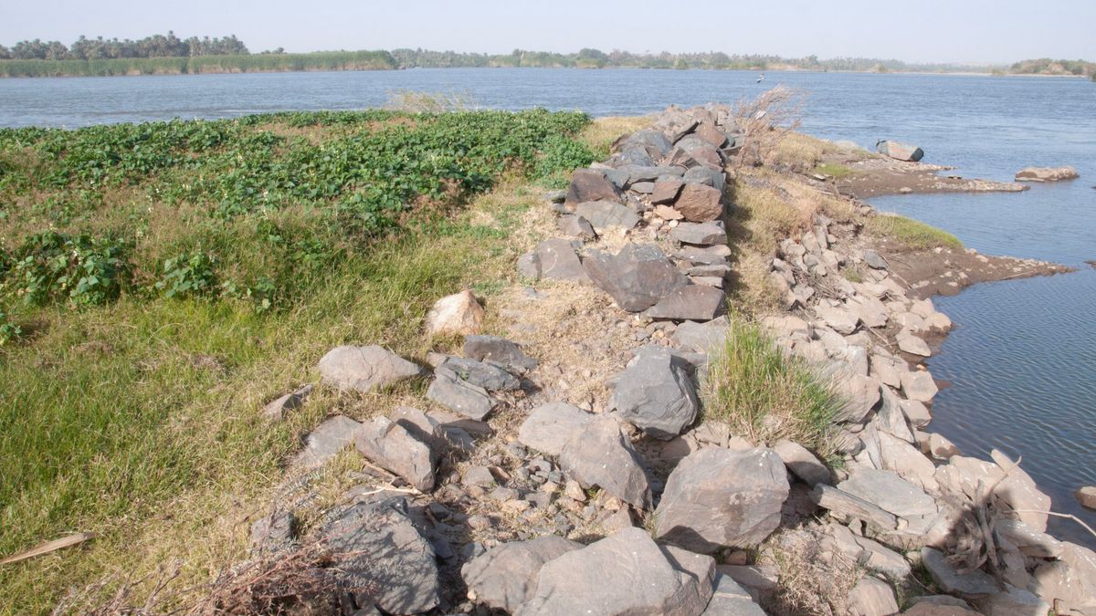 We see stones piled up near the grass along the Nile River.