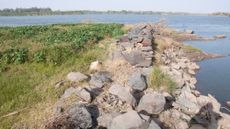 We see stones piled up near the grass along the Nile River.