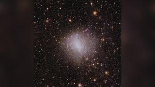 Euclid's view of irregular galaxy NGC 6822.