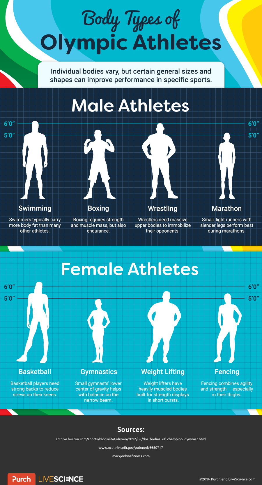 Olympic Form How Sports Influence Body Shape Live Science 