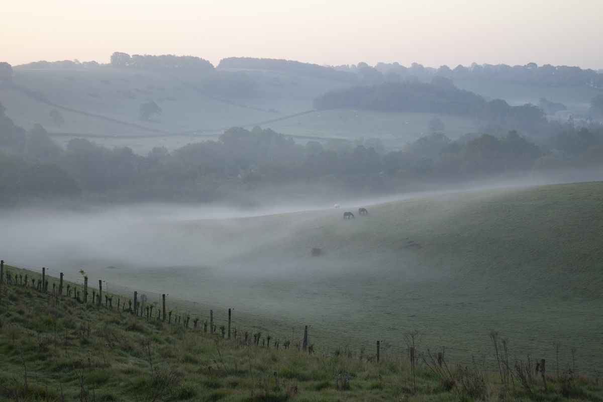 Photo of a misty landscape at first light, taken with the Canon EOS R100
