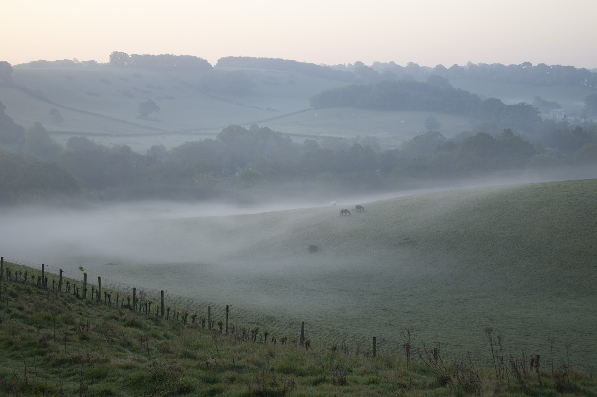 Photo of a misty landscape at first light, taken with the Canon EOS R100